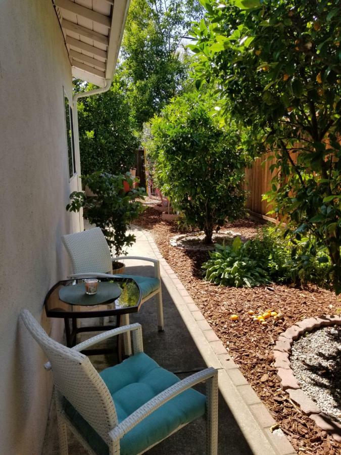 Вилла Luxury 2Br/1Ba Oasis In San Jose Ca Экстерьер фото